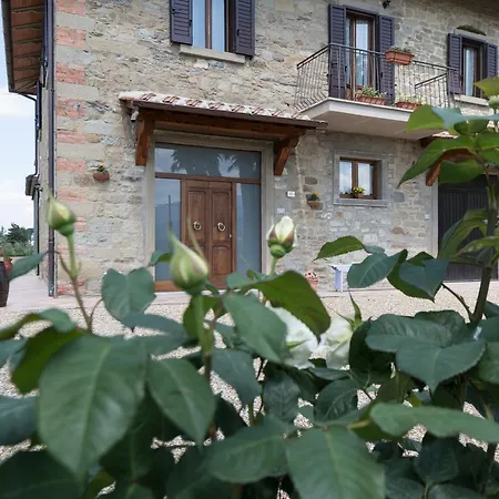 Podere I Gigli * Castiglion Fiorentino
