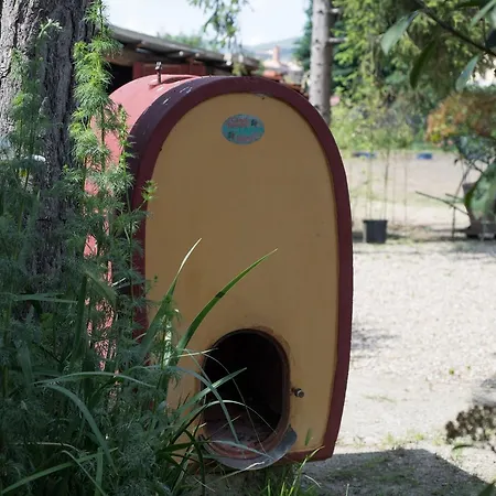Farm stay Podere I Gigli *