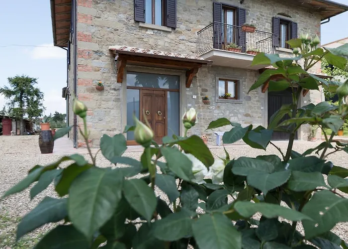 Podere I Gigli * 卡斯蒂里昂·菲奥伦蒂