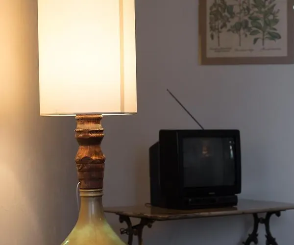 Podere I Gigli 农家乐 卡斯蒂里昂·菲奥伦蒂